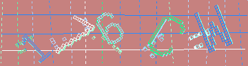 確認代碼