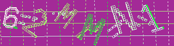 確認代碼