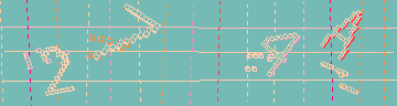 確認代碼