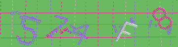 確認代碼