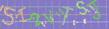 確認代碼