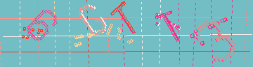 確認代碼