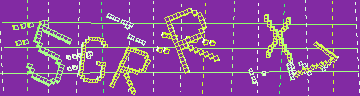 確認代碼