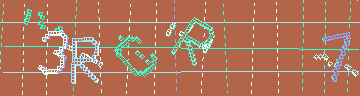 確認代碼