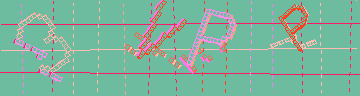 確認代碼