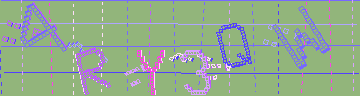 確認代碼