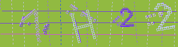 確認代碼