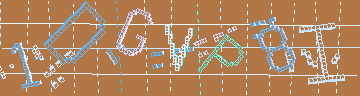 確認代碼