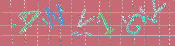 確認代碼