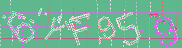 確認代碼