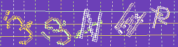 確認代碼