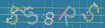 確認代碼