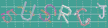 確認代碼
