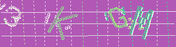 確認代碼