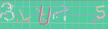 確認代碼