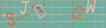 確認代碼