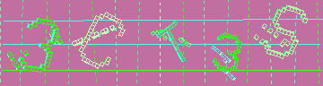 確認代碼
