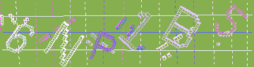 確認代碼