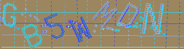 確認代碼