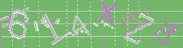 確認代碼