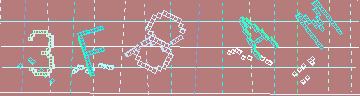 確認代碼