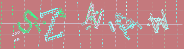 確認代碼