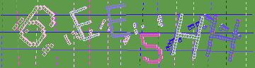 確認代碼
