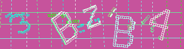 確認代碼