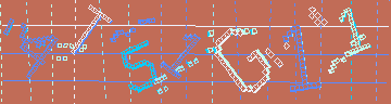 確認代碼