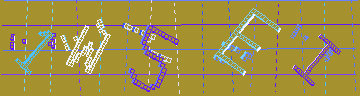 確認代碼