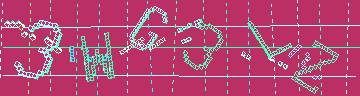 確認代碼
