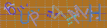 確認代碼