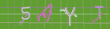 確認代碼