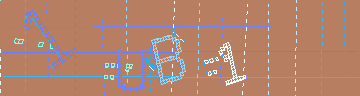 確認代碼