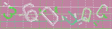 確認代碼