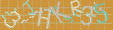 確認代碼