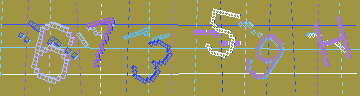 確認代碼
