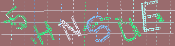 確認代碼