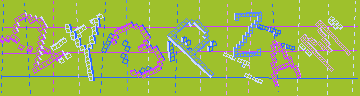 確認代碼