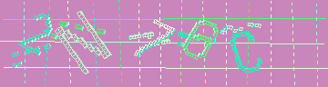 確認代碼