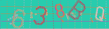 確認代碼