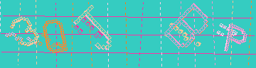 確認代碼