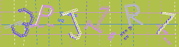 確認代碼