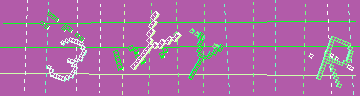 確認代碼