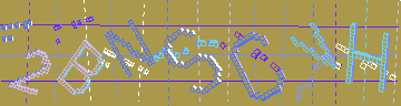 確認代碼