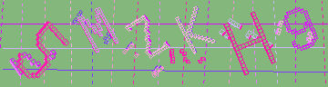 確認代碼
