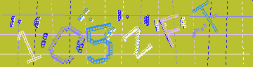 確認代碼