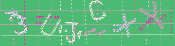 確認代碼
