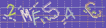 確認代碼