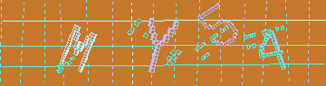 確認代碼